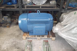 Motor El&eacute;trico Usado 150 CV em S&atilde;o Paulo | RONCATEC